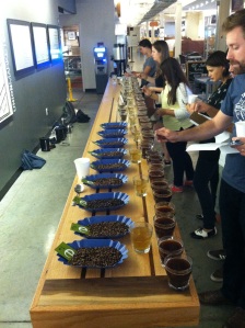 cupping pic